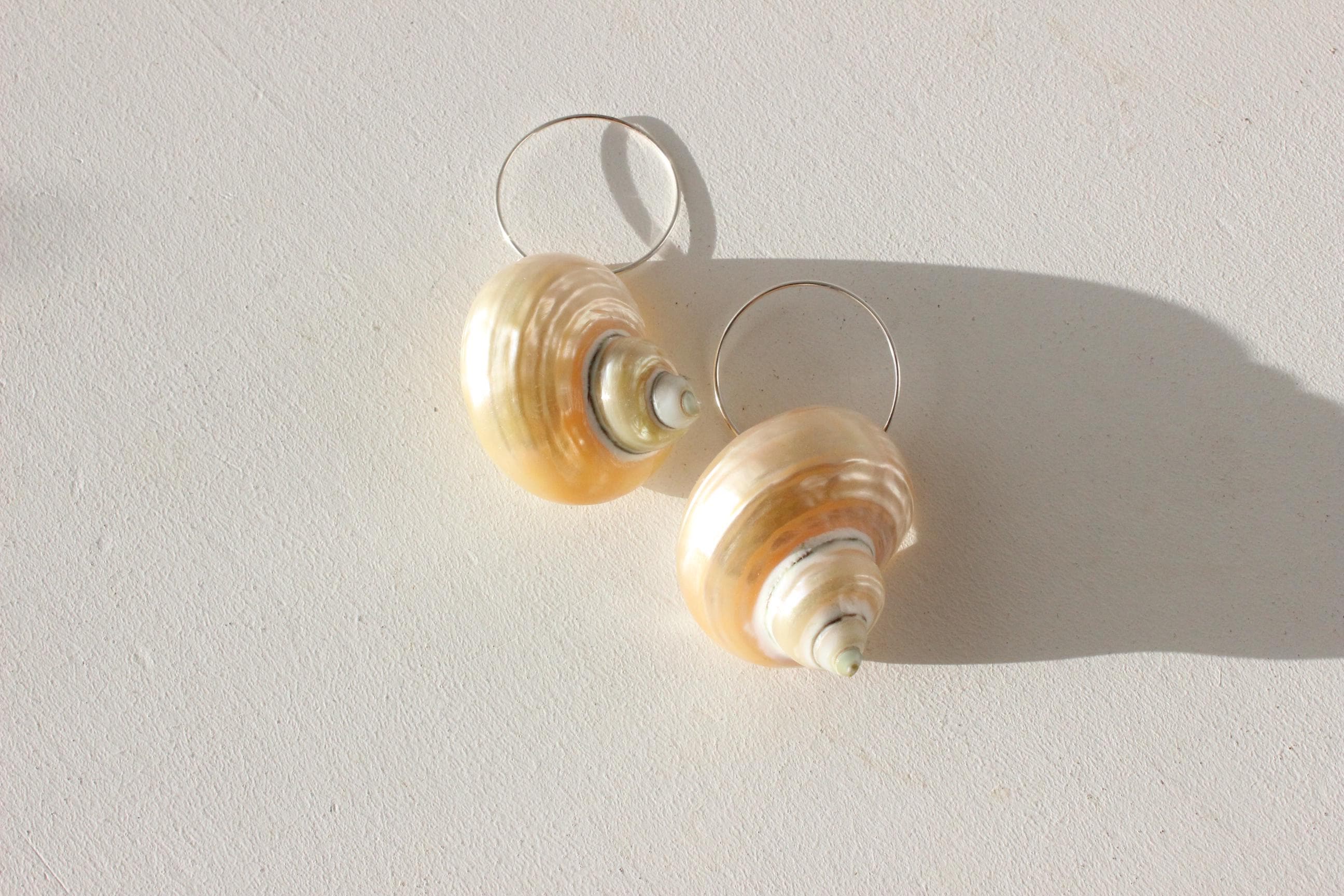 Modernist Seashell Natural Conch Shell Sleeper Earrings
