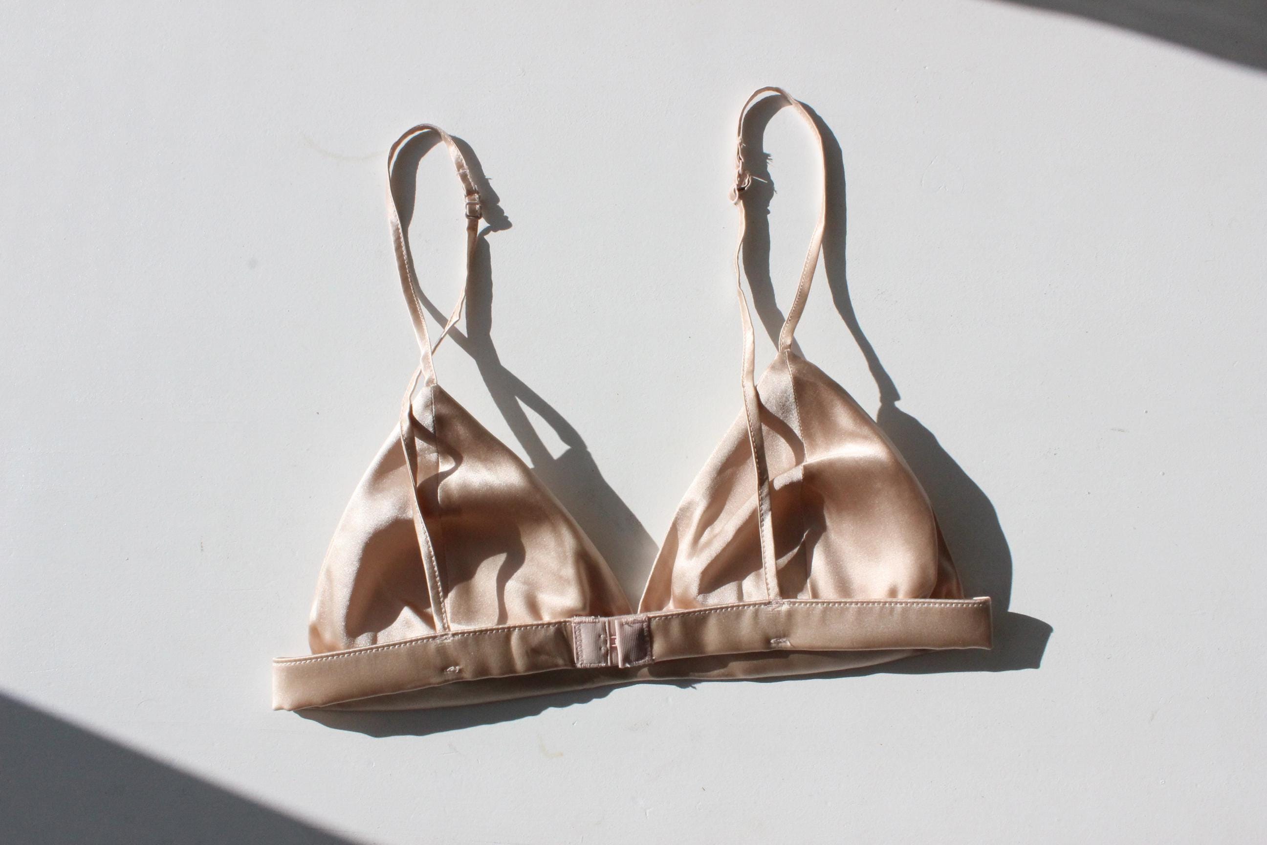 Minimal & Modern Silk Triangle Lingerie Bra in Blush