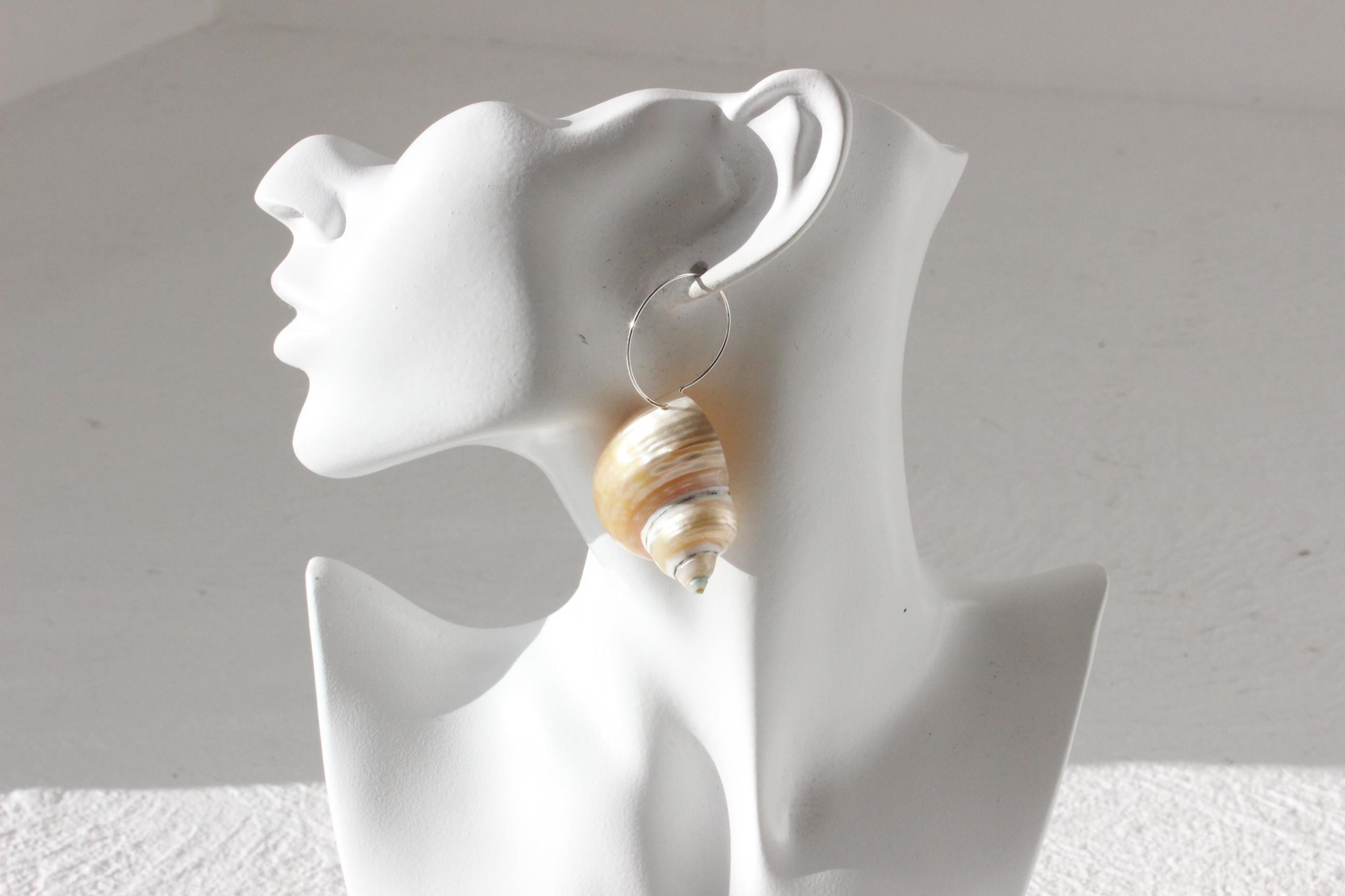 Modernist Seashell Natural Conch Shell Sleeper Earrings